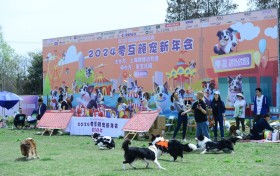 第二届颜宠新年牵爪之约【2024零互颜宠新年会】圆满落幕