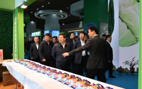 临沂联通全力保障首届山东绿色蔬菜产业博览会圆满举办